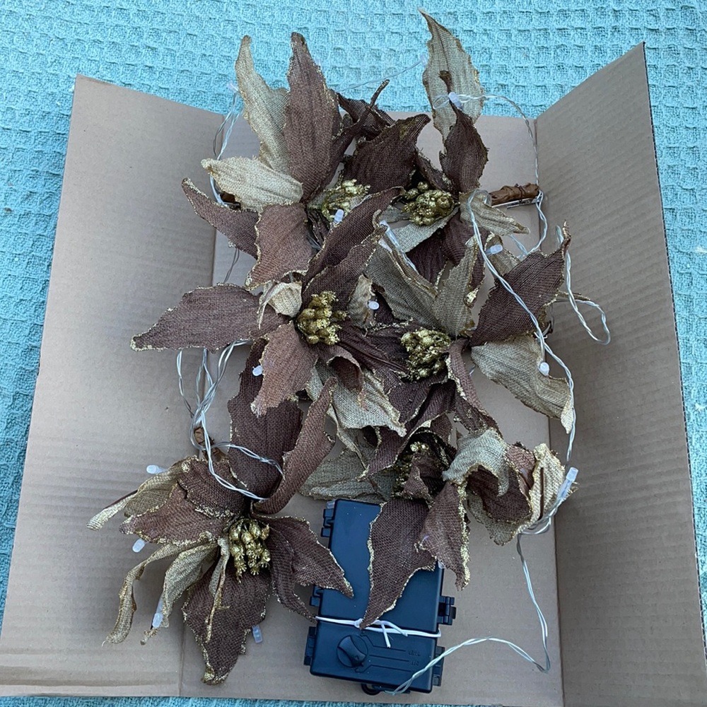 Kringle Express Poinsettia Light Strand